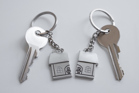 keys with keychains that look like a split house